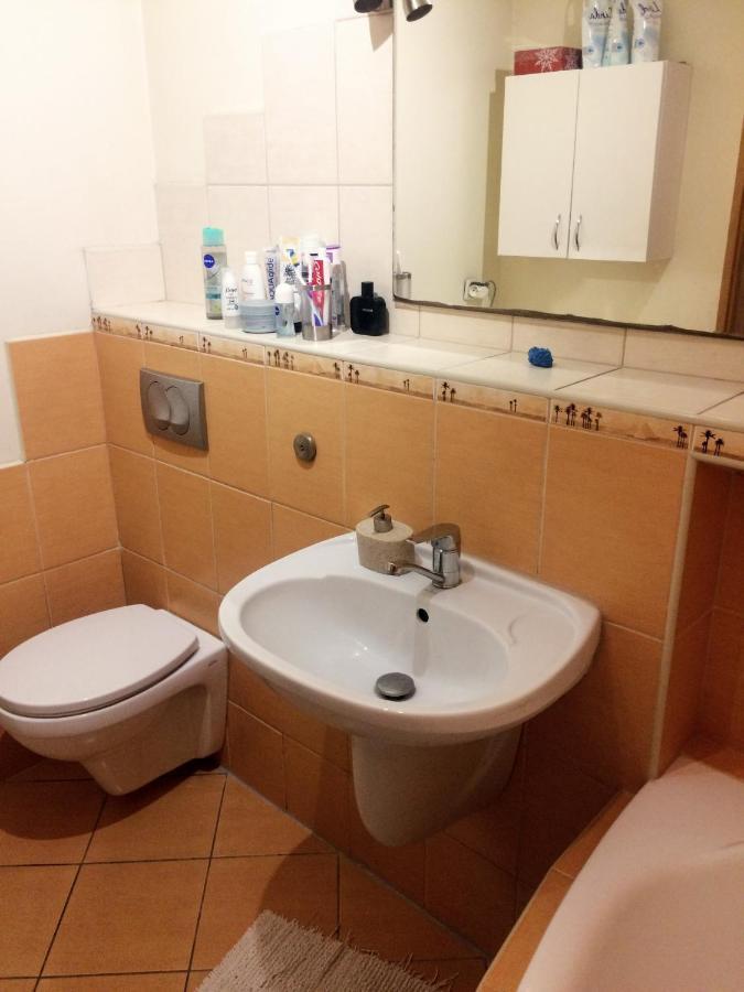 Nice Room, Комната, Pokoj Miedzy Airport Wro A Centrum Вроцлав Екстер'єр фото